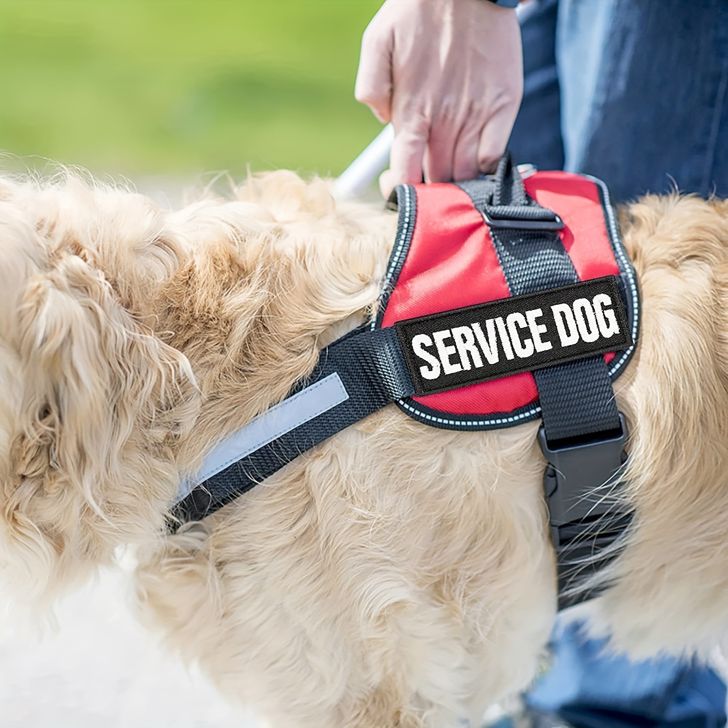 Parche personalizado de 2 piezas para chaleco para perro, parches tácticos  extraíbles personalizados para arnés de perro en entrenamiento y parches