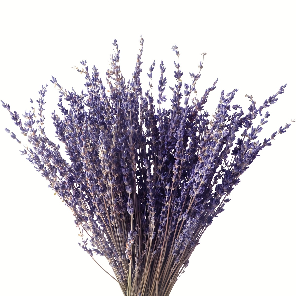 1pc 30g/100g DIY Dried Lavender Flowers, French Lavender, For Making Sachet  Soap And Candle Crafts Adding Fresh Fragrance,room Decor