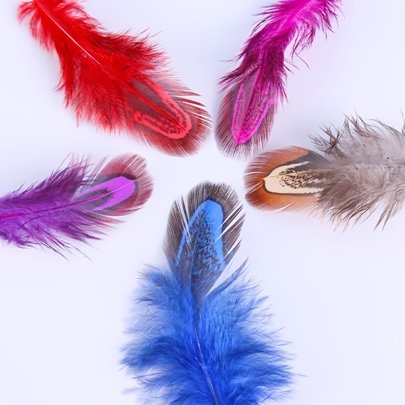 Feathers - Temu Australia