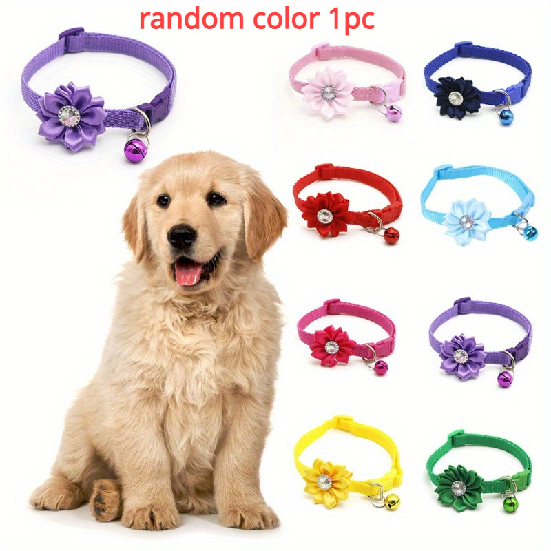 Collar Perro Luz, Homeet Luz Led Collares para Perro 6Pcs Clip-on Luces Led  de Colores Luz de Seguridad Luminoso de Noche Impermeable LED Luz Perro Led  Pet Collar Luz para Mascota Gato