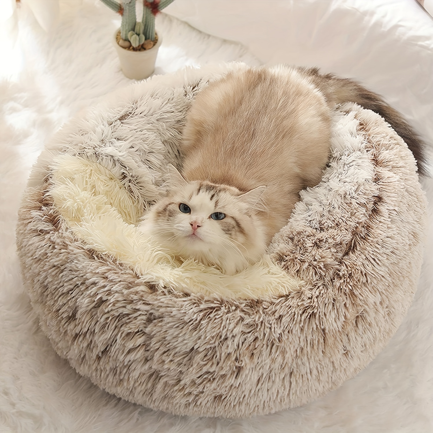 Panier rétro Pet Nest White pour chien et chat