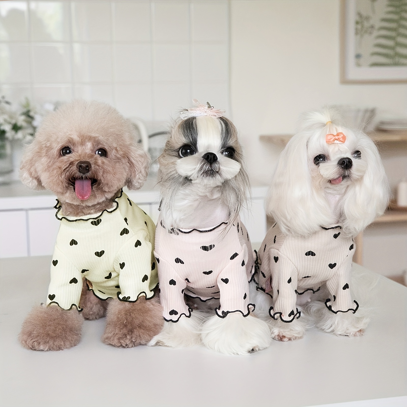 Pets at 2024 home dog clothes