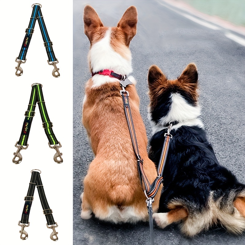 Two dog outlet harness