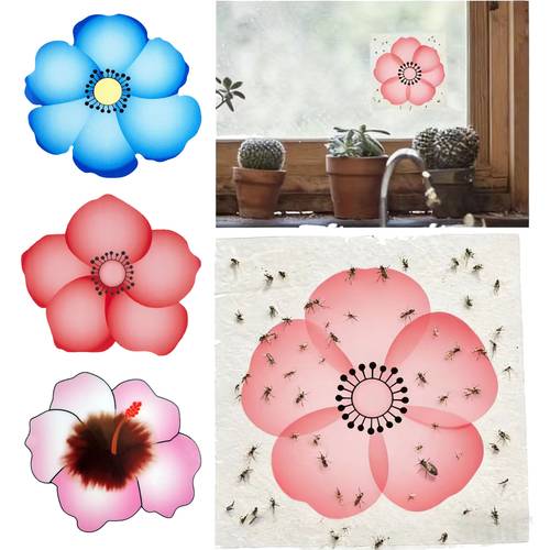 10pcs unscented mosquito traps fly traps insect traps design for windows walls cupboards indoor use catching mosquitoes