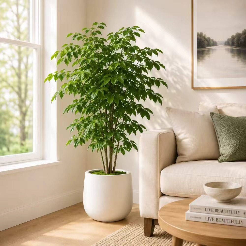 TEMU Grand Pot de Fleur Blanc Mat de Style Nordique - Grande Capacité, avec Trous de Drainage, Base Stable, Convient aux Grandes Fleurs/Plantes. Un