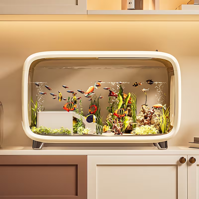 Modern Desktop Eco- Fish Tank Extra Large Size Panoramic Aquarium Multi- Color Options Home Office Decor