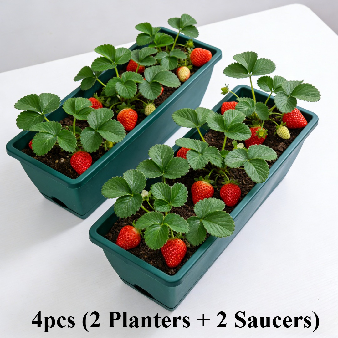 4-teiliges Set (2 Pflanzkübel + 2 Untersetzer), verdickte 42,01 cm Gemüse- Blumentöpfe, durchbrochene Töpfe, Blumen- Gemüsepflanzkübel für Zuhause Balkon, rechteckige Pflanzschalen * für den * von