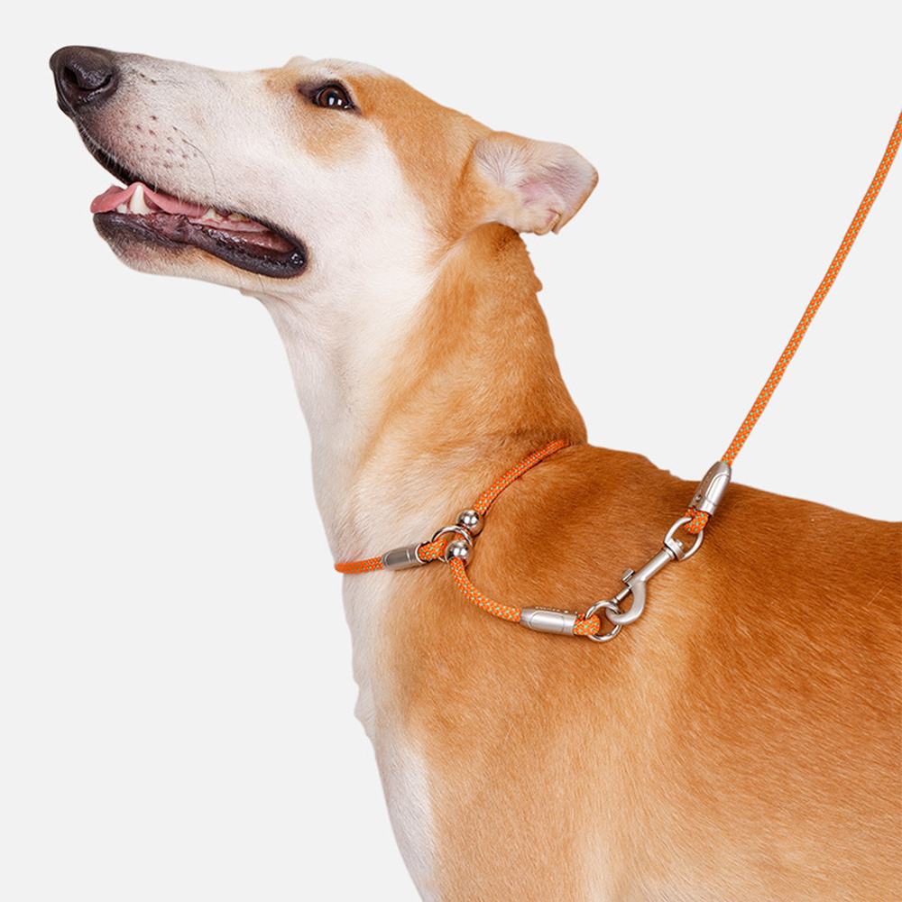 Vibration Collar Shwaan Leather Dog Collar Handle Dog Heavy Duty  MilitaryTactical Training Collar