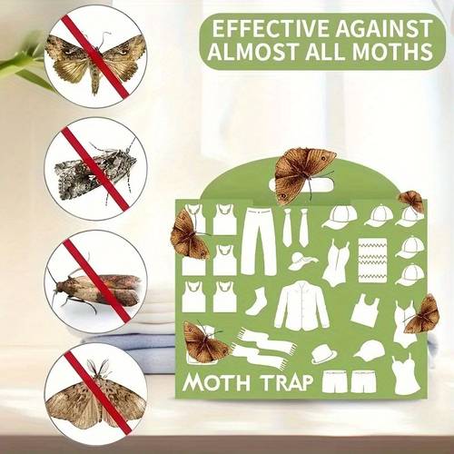 trap sticky moth moth trap moth trap moth sticker moth moth trap