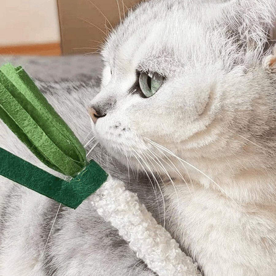 no batteries needed interactive chewing   with   onion like design durable   for all cats pets teeth cleaning dental   for solo play or     kittens   cats Product details 0