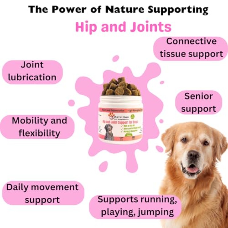 Hip and Joint Support - Glucosamine for Dogs Soft Chews, Joint Supplement with Glucosamine, Omega 3 and 6, MSM, Turmeric, Anti Inflammatory, Support + Mobility 120 Soft Chews