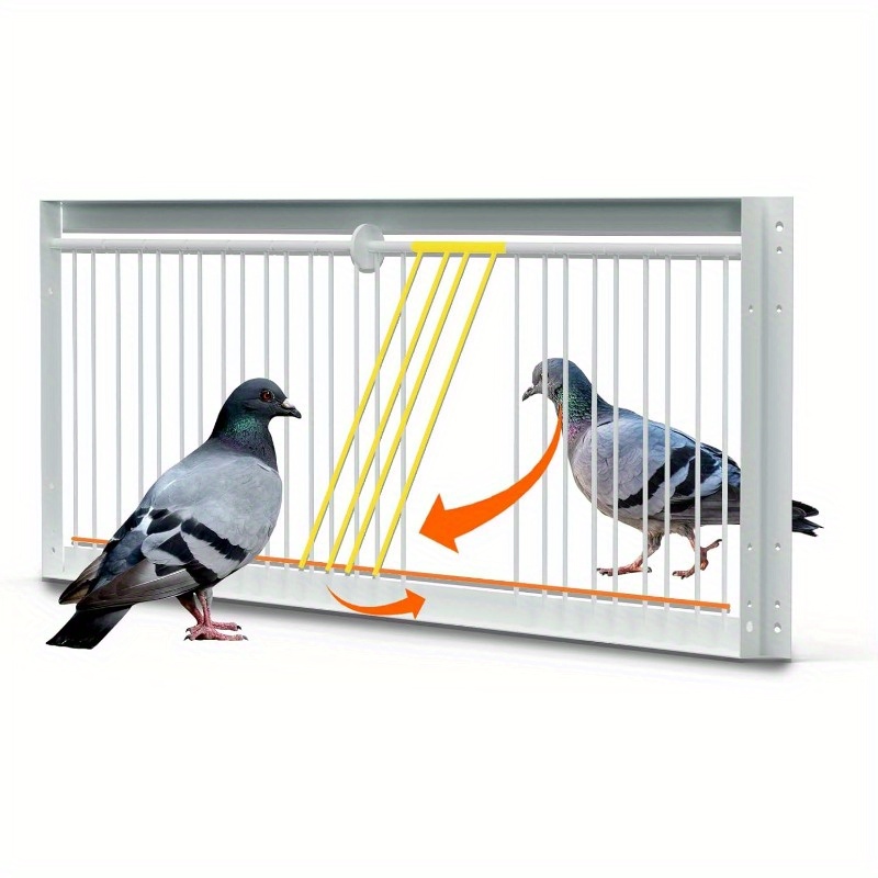 How to Catch a Dove Bird: Simple Tips for Quick Success
