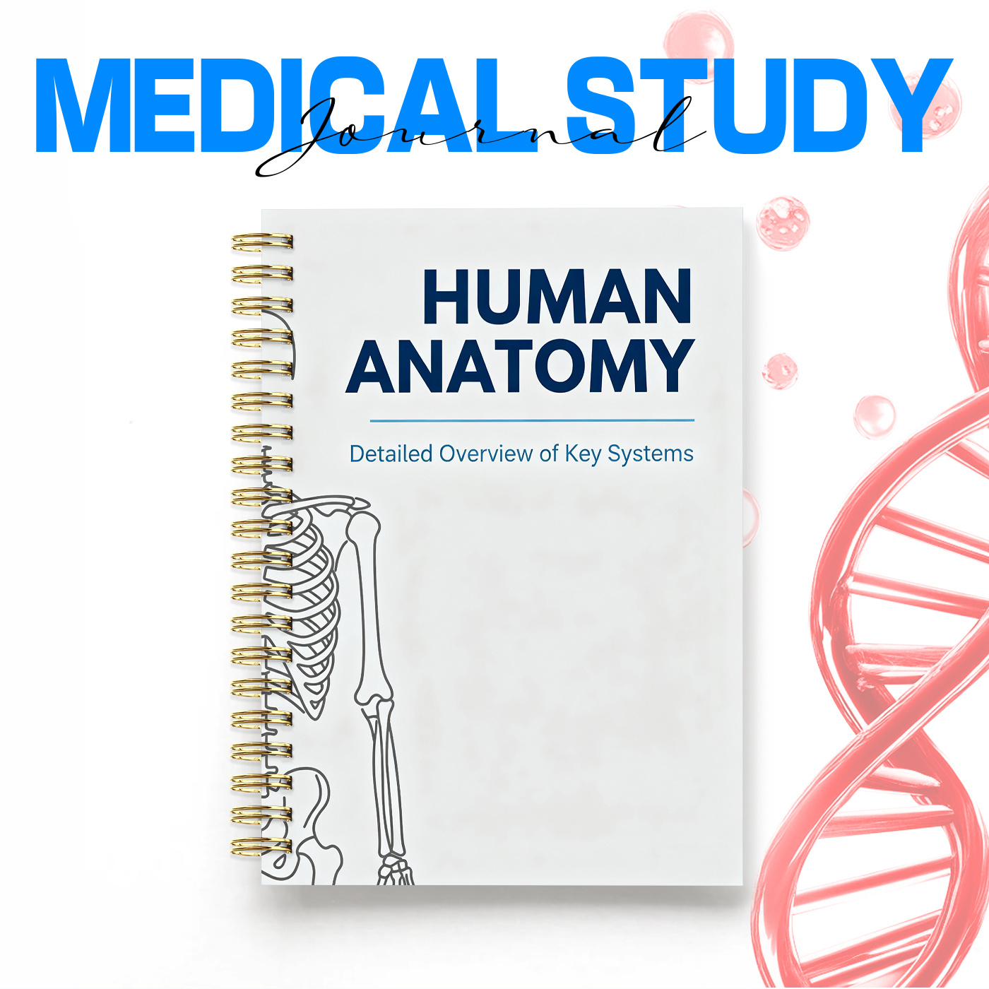 TEMU 1 Carnet Spirale de Connaissances Médicales Professionnelles : Couvre les Organes Principaux avec Emplacements, Connaissances sur la Conduction