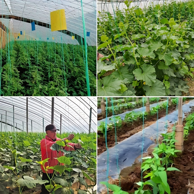 Snur durabil de grădină verde de 200 m - diametru de 1 mm, legare din plastic pentru legume, roșii etc. - ideal pentru sere, paturi de flori, plase de pescuit și activități de grădinărit, rezistență ridicată și ușor de tăiat
