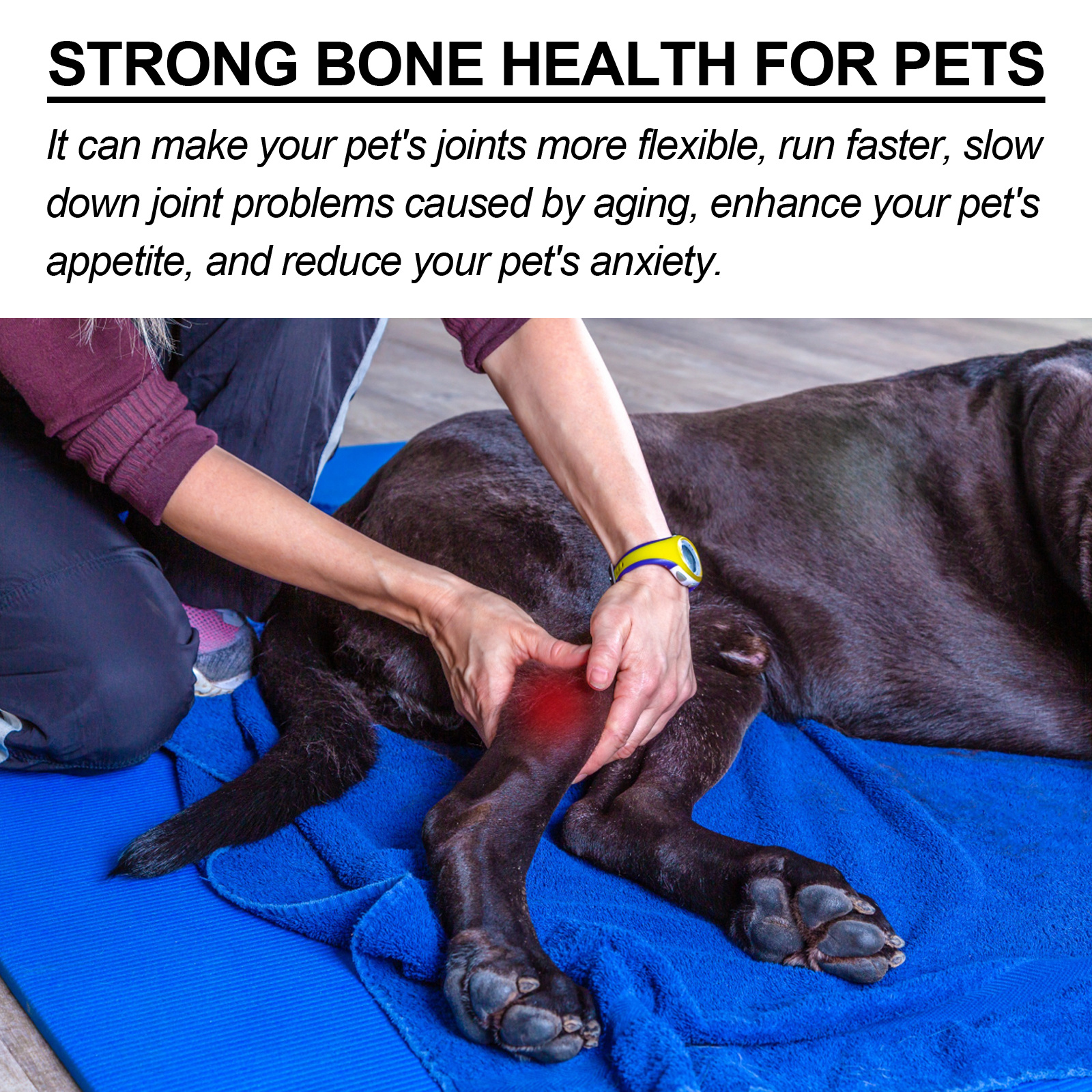 20G Pet-Specific Joint Care Spray, Gentle Topical Spray, Easy And Convenient to Use, Helps Flexible Joints, Enhances Mobility, Suitable for Cats And Dogs And Other Pets, Home Long-Term Care, Caring for Pet Bone And Joint Health, Without Battery