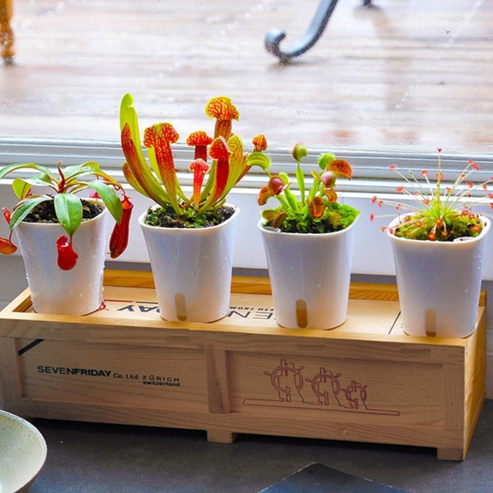 10pcs self watering planters level display - Temu