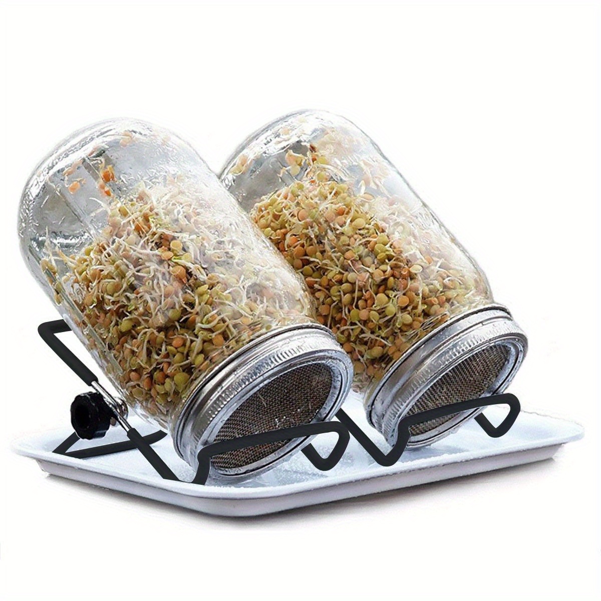 E-shop Saatgutbehälter Set - 2 Wide Mouth Quart Mason Jars mit Edelstahl Mesh Saugutbehältern, Tropfschalen, Ständern | Saatgut-Anzuchtsset für