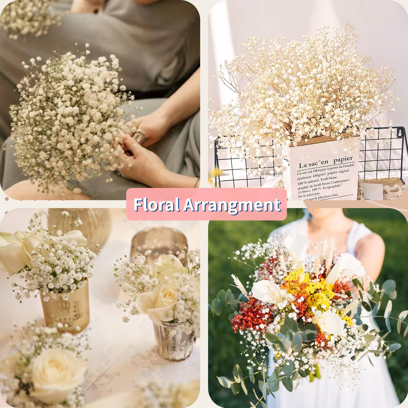TEMU 3100 pzas+ Flores de Gipsófila Secas , Ramo Natural de Gypsophila, Elegante Decoración Boho para del Hogar, Sala, Salón, Arreglos DIY Hechos a ,