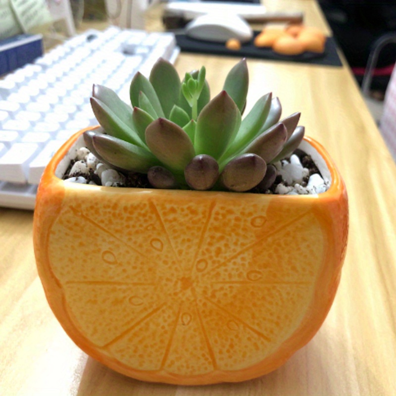 1pc fruit shaped succulent ceramic flower pot creative - Temu