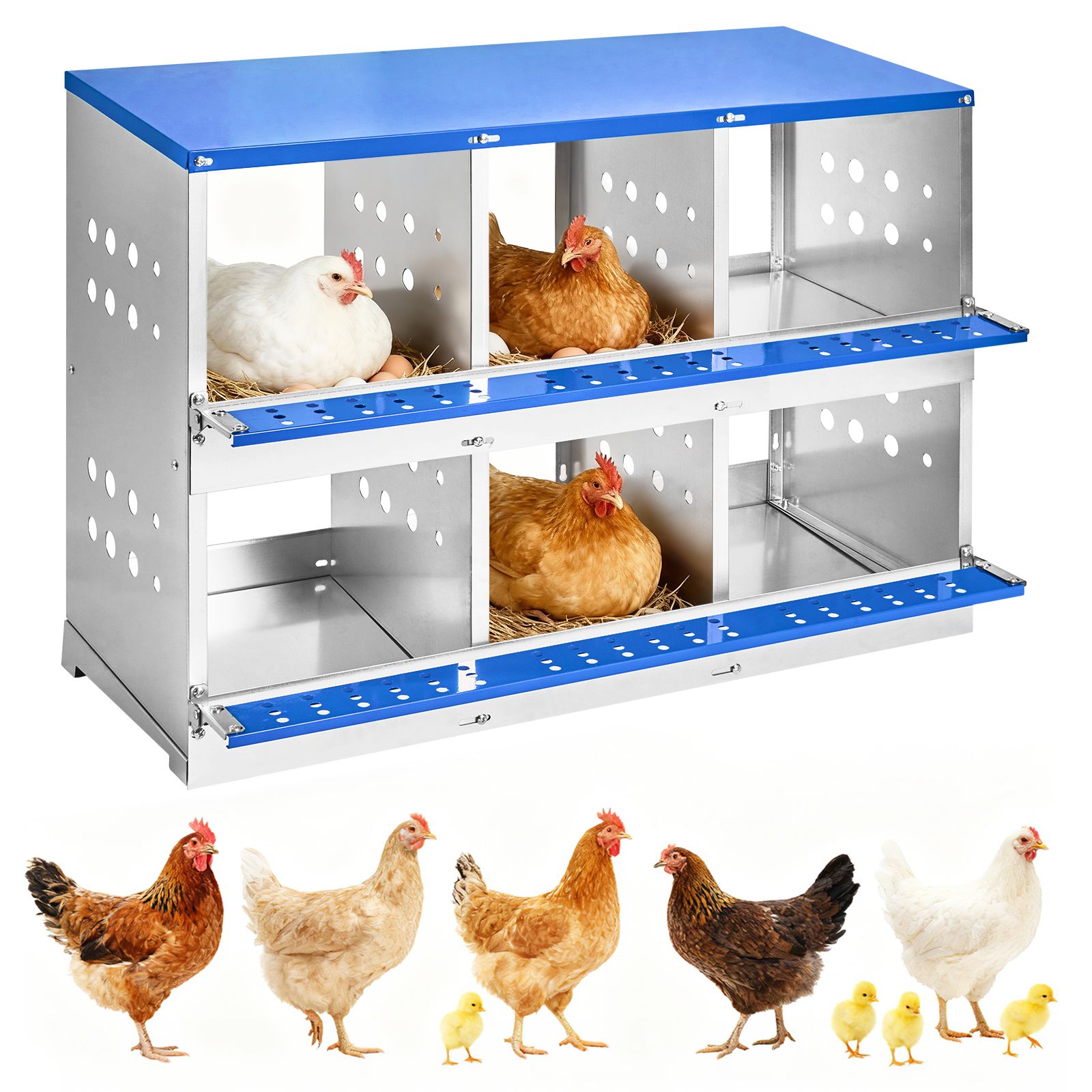6-compartment Metal Chicken Nesting Box | Durable With Ventilated Breathable Holes, Comfortable Resting Platform, Wall-mount Or Floor Design, Collection, Blue, No Lid, Full Coverage By Tackview