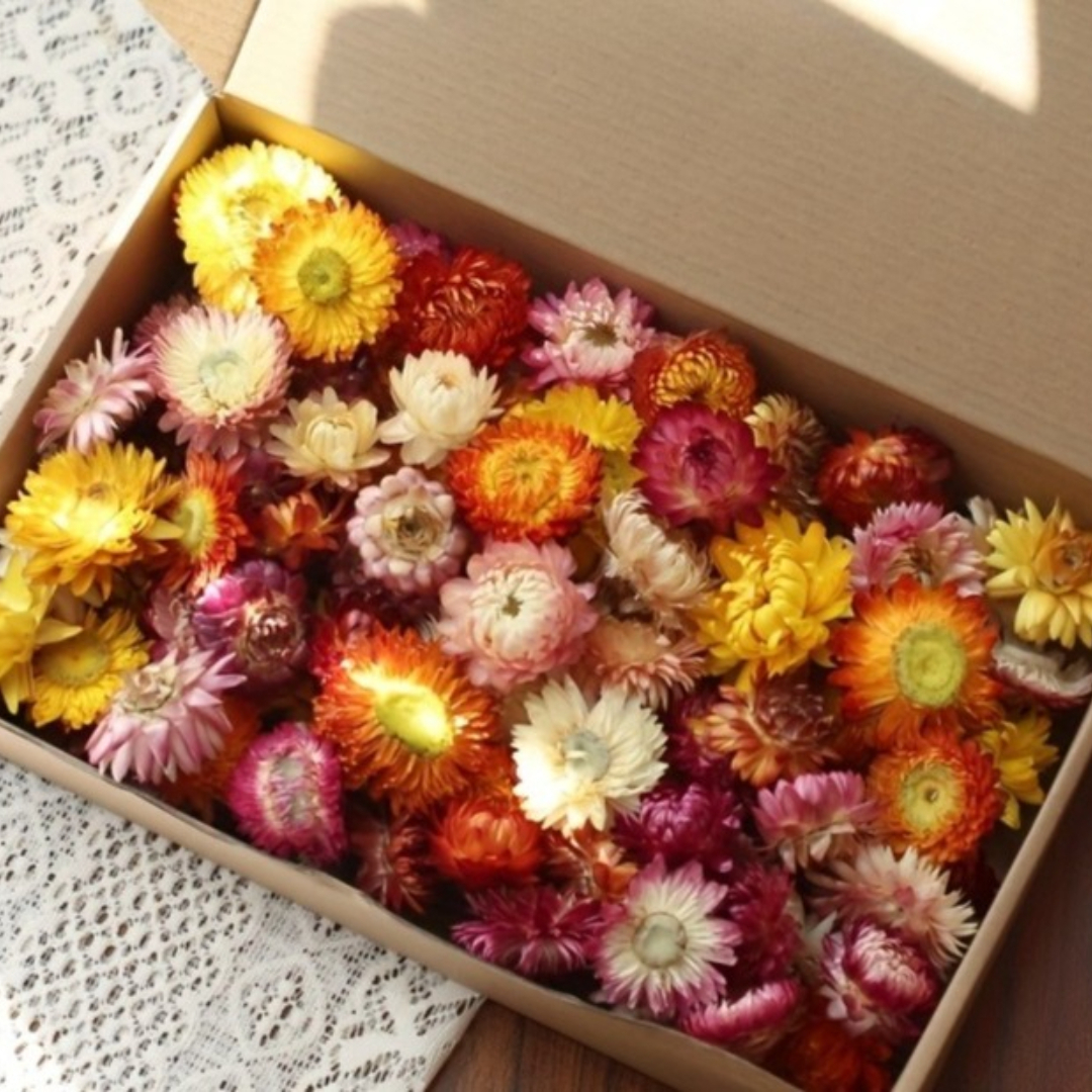 Image of 99pcs Dried Flower Pampas Bunny Rabbit Tail Grass With Chrysanthemum Head Bouquet Boho Home Vase Room Living Seasonal Decor Artificial Flowespampa Fake 's Tail Wedding Party Decoration Festival Gift