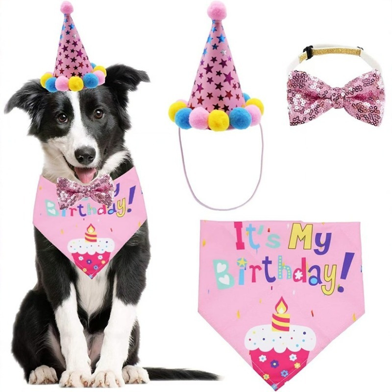 TEMU Ensemble de 3 pièces Chapeau d'Anniversaire pour Chien, Décorations d'Anniversaire pour Chien, Bandeau d'Anniversaire pour Chien, Fournitures de