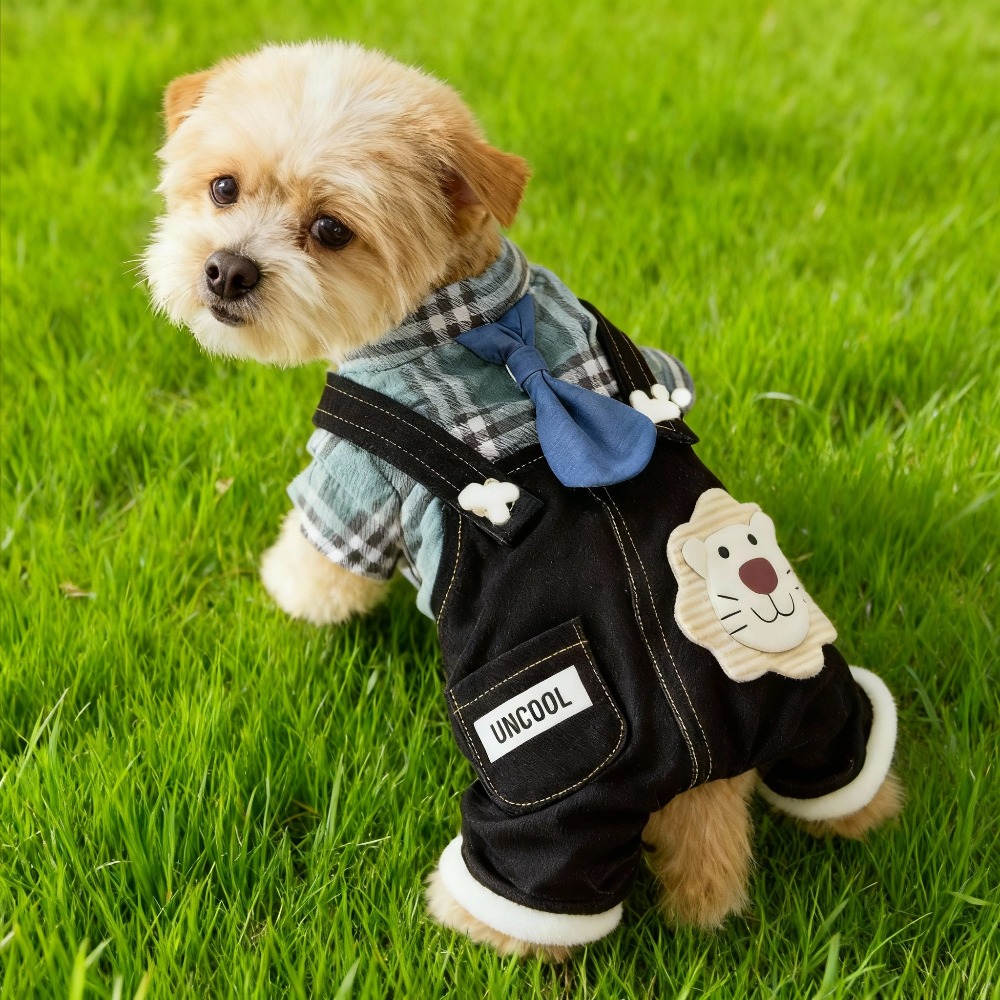 pet dog autumn and winter fleece thickened   padded coat snap down overalls   2pcs thermal clothing medium and small dogs