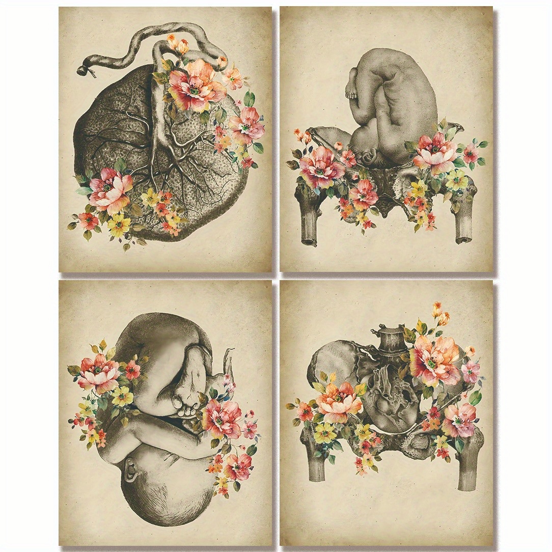 TEMU 4pcs Frameless Vintage Midwifery Posters - Obgyn Art, Pregnancy & Female Anatomy, Floral & Placenta Designs, Pelvis Bone Illustrations, 8x10