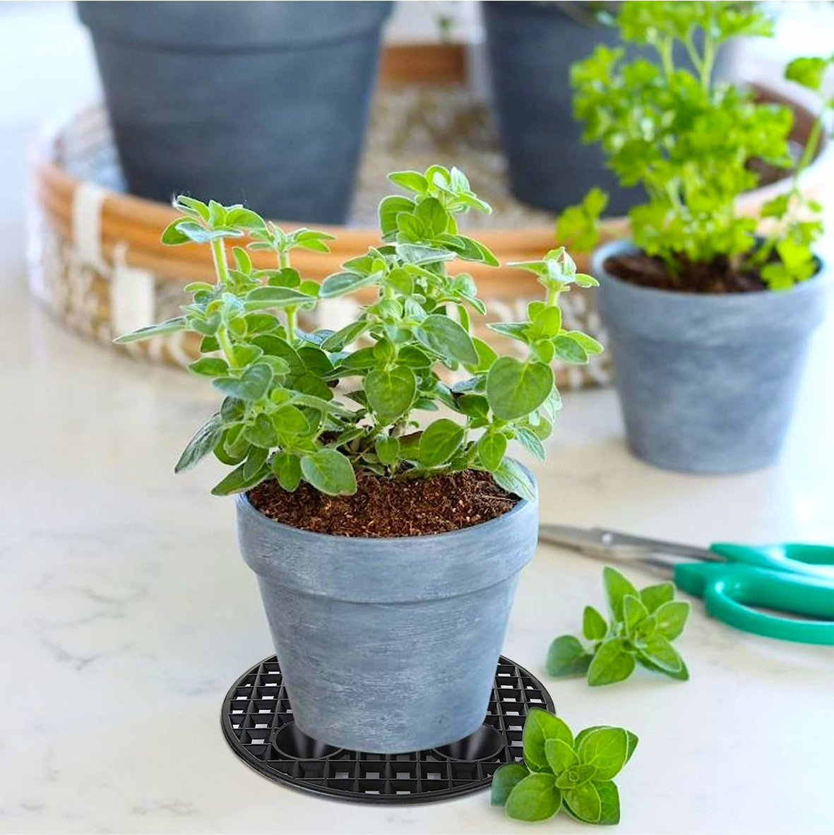6x plant level pot elevator heavy duty plant stands 20 30cm plant pot saucer details 8