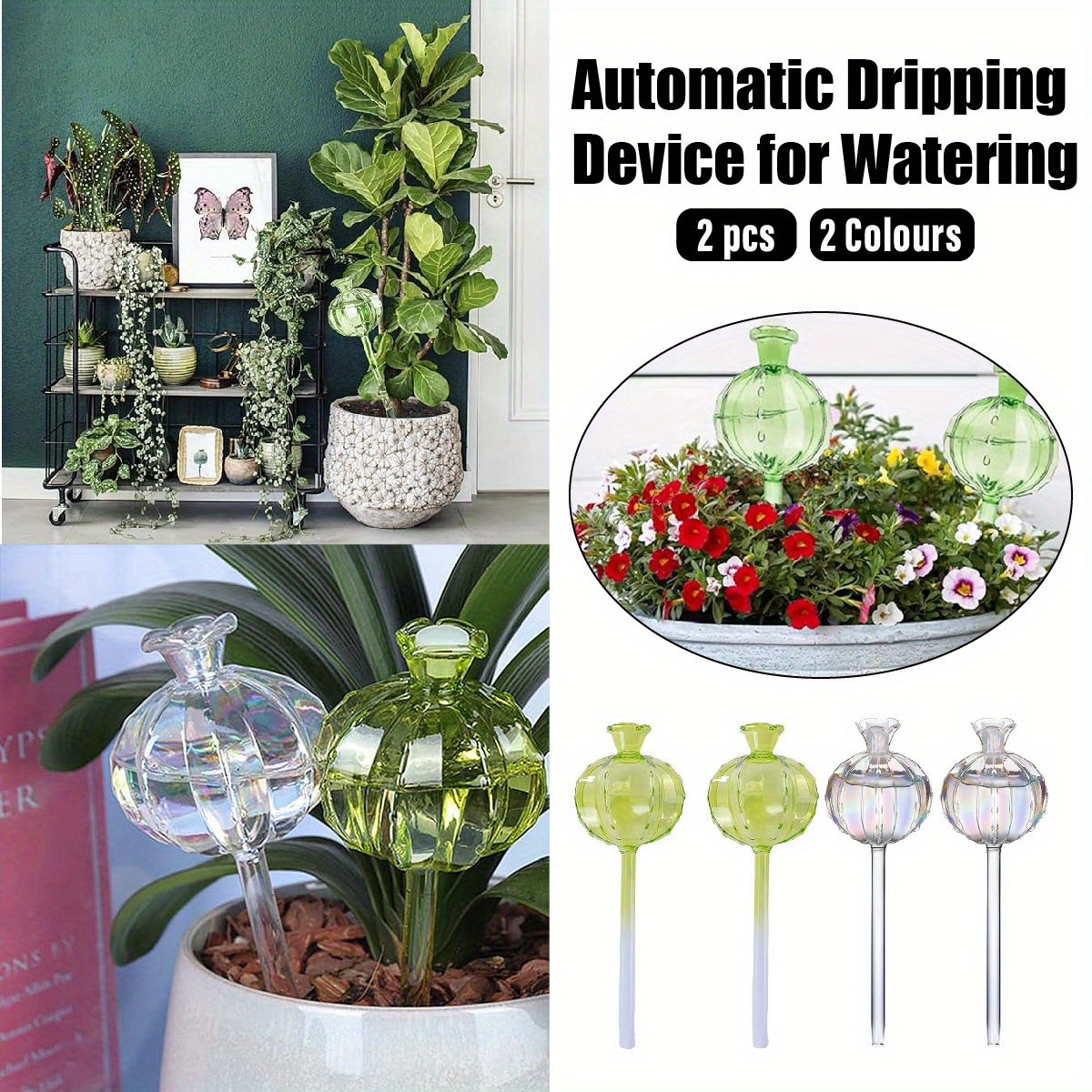 TEMU Glass Watering Can For Succulents Automatic Lazy Watering Drip Watering Glass Watering Can