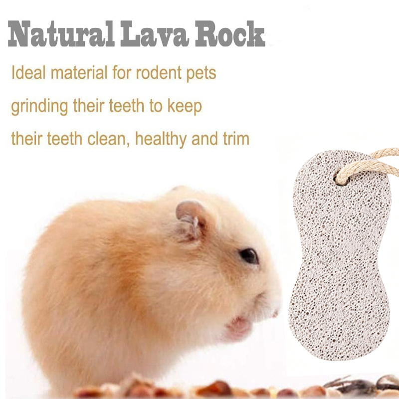 4pcs Natural Mineral Volcanic Rock Chew Stones for Small Animals