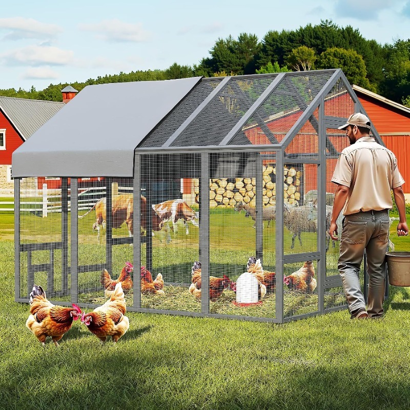 walk in chicken coop sold on Temu United States