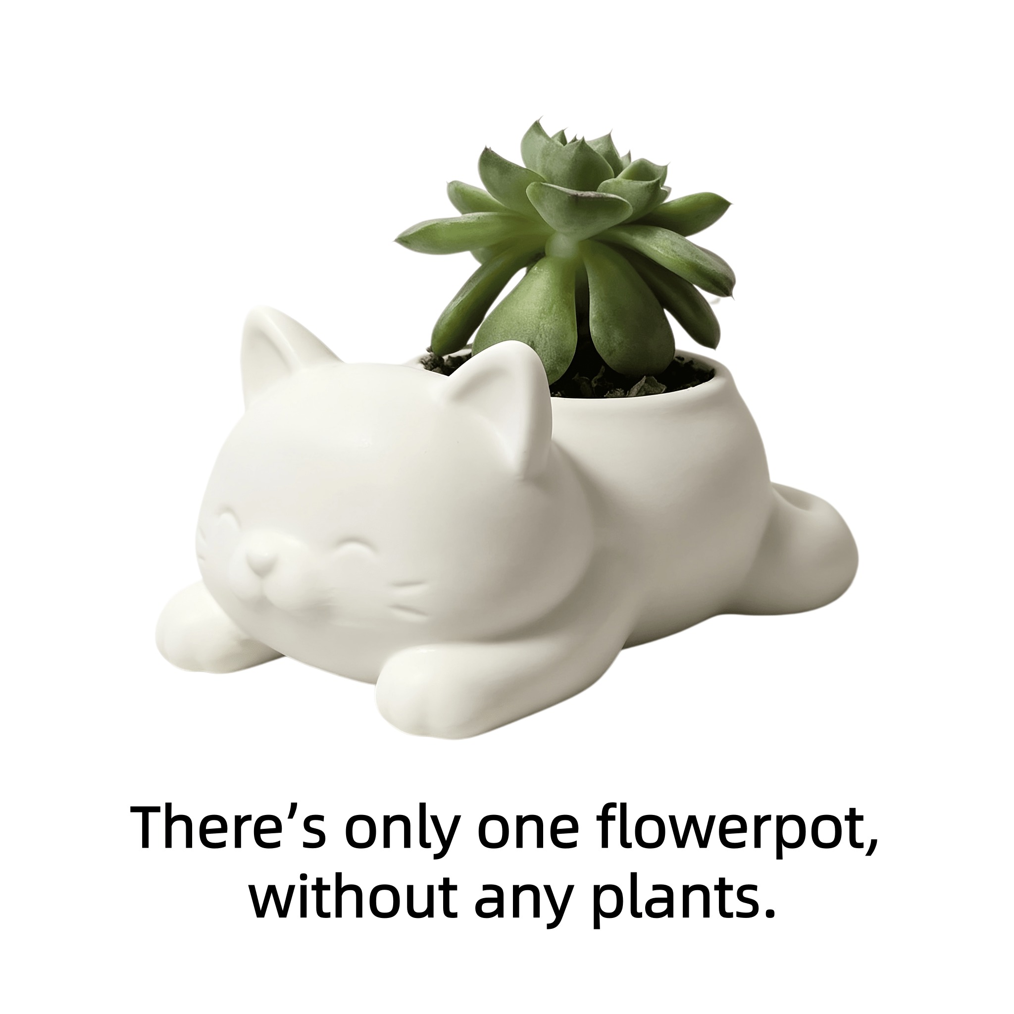TEMU 1 pièce Mini Jardinière Créative de Chat, Mini Jardinière de Bureau, Style Bohème, Pot de Fleur Léger Polyvalent -Chute pour Intérieur/Extérieur