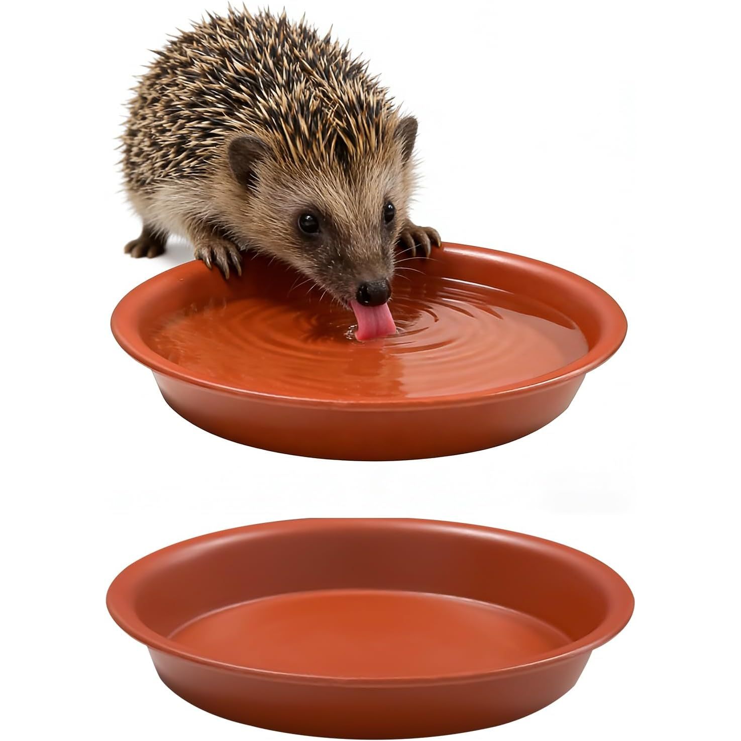 TEMU 2pcs Hedgehog Drinking Water Bowl Set, Designed Shallow Plastic Bowls For Hedgehogs, With An Appropriate Height And A Compact Pet Feeding Dish