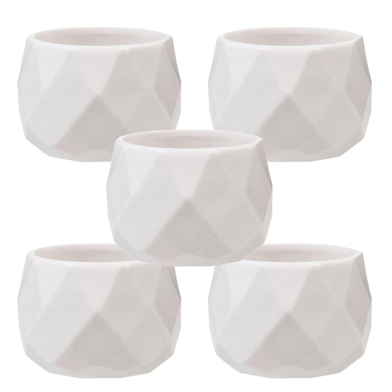 TEMU 5pcs Set Of Small Geometric Plastic Planters, Matte White, Indoor Succulent And Small Plant Cultivation - Ideal For Decorating Desks And