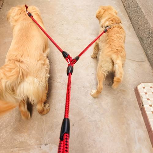 heavy duty braided leash free sturdy nylon with comfortable handle suitable for walking and training 5 feet long diamond ideal for small to medium breeds comfortable pet handling control braided strength leash for dogs