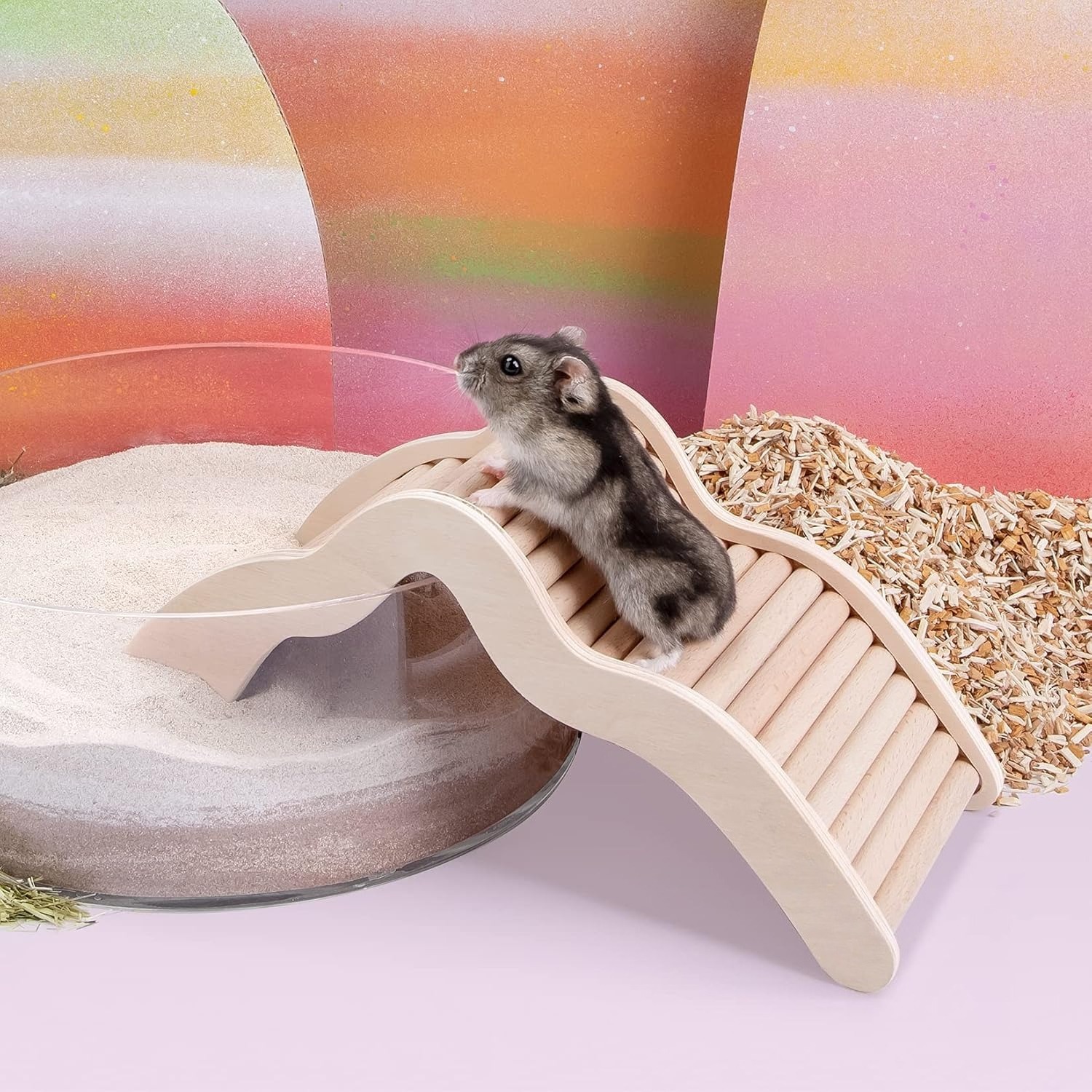 Hamster Climbing Bridge Ladder for Small Pets