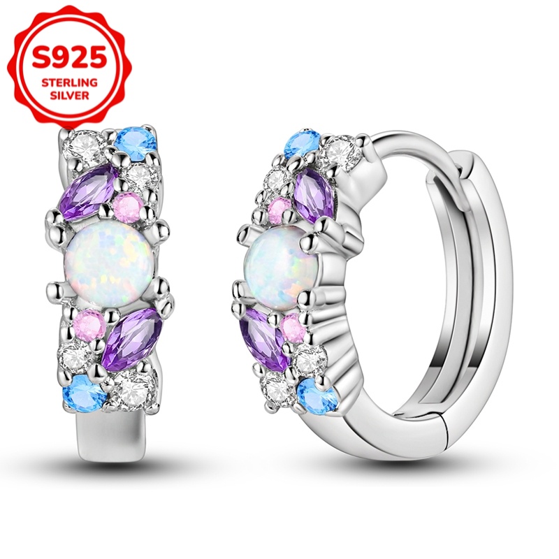 925 Sterling Silver Women's Hypoallergenic Ice Earrings, Exquisite Earrings, Elegant Gift For Her