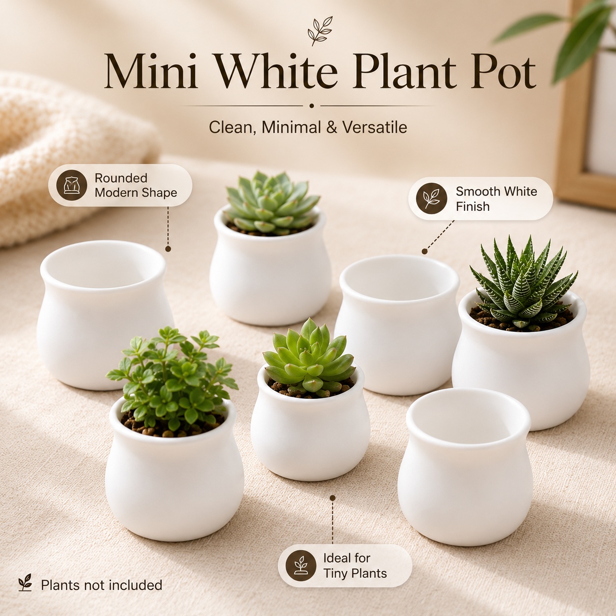 TEMU 17pcs White Mini Succulent Pots, Easy Round Small Planters, Suitable For Bookshelves, Windowsills, Offices, Coffee Shop Tables, And Party