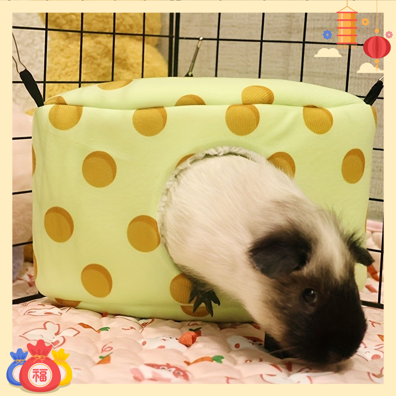 Comfortable Cabin for Candy Flying Squirrels and Hamsters