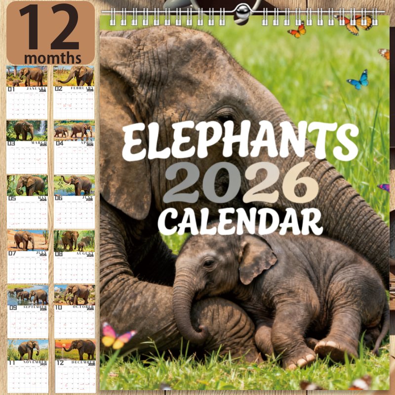 TEMU 2026 Elefantväggkalender - Stor månadsvisning med elefantfoton & födelsedagar ( 2026-december 2026) - Hållbar kalender för hemmet, kontoret -