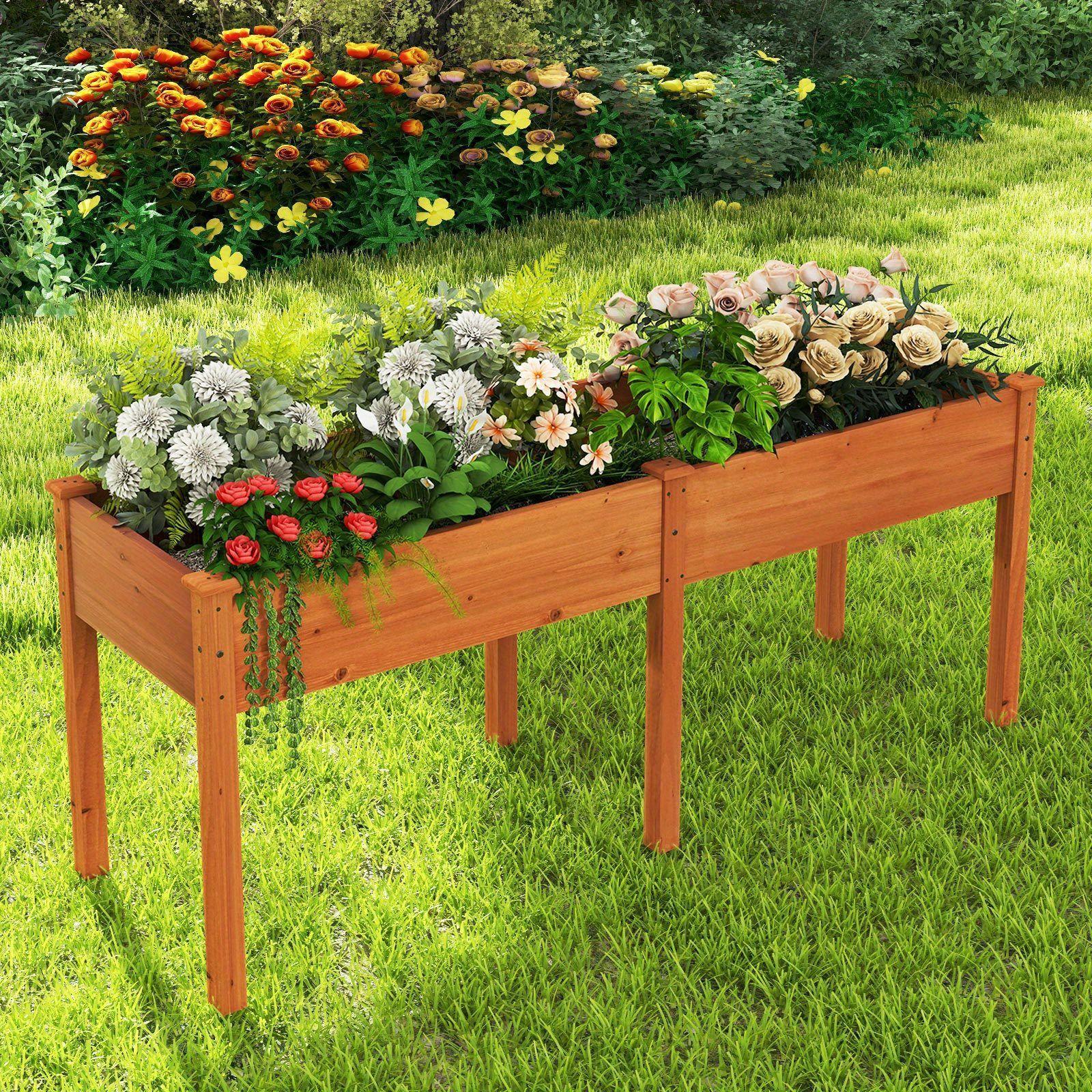 TEMU Lit de Jardin Surélevé en Bois de Sapin Naturel avec Pieds - Bac de Plantation Élevé avec Séparateur & 8 Trous de Drainage, Hauteur de 30",
