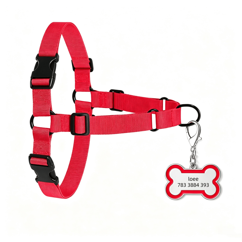 Customized Bone-Shaped Name Tag with Adjustable Nylon Leash