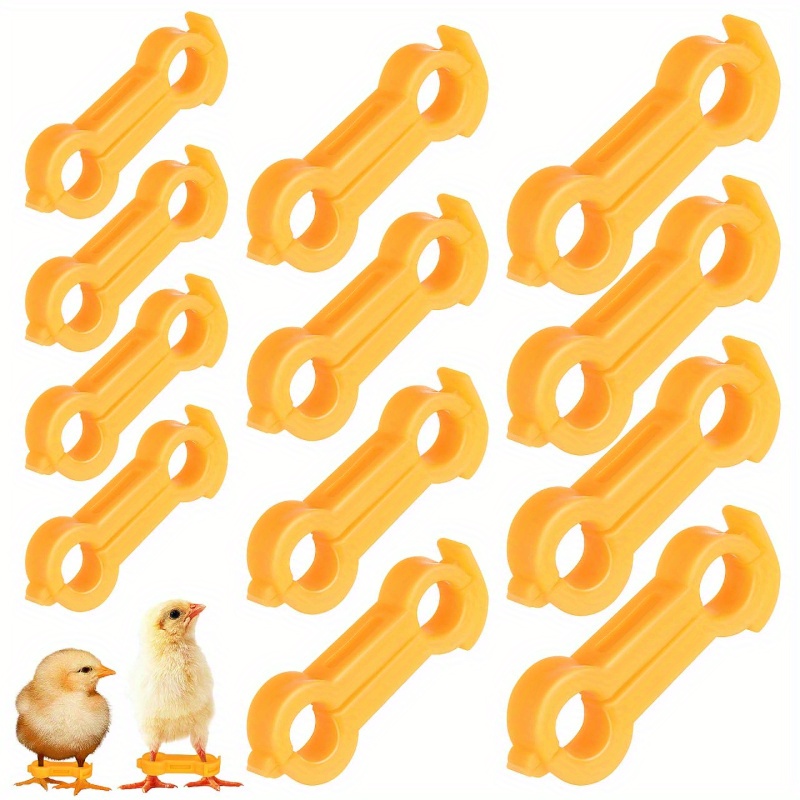 E-shop 12pcs of Leg Braces for Chicks, Designed for the Recovery of Young Chickens, Quails, , and Small Birds, Suitable for Poultry Farming, Farms, and