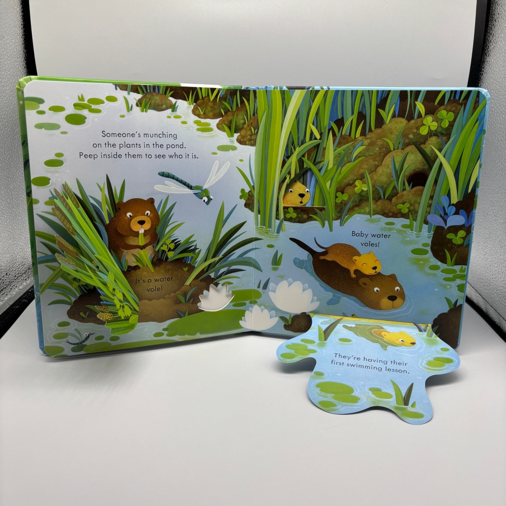Durable Pop-Ups Learning Material for Family Reading