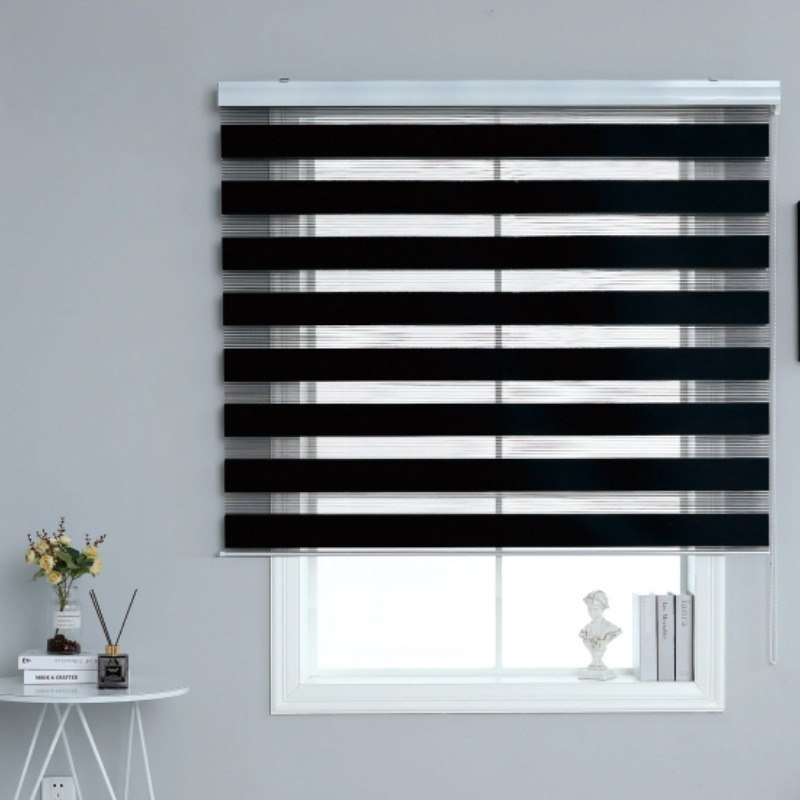 TEMU Blinds Roll Curtain Blinds Blackout Double-layer Roller Shutter Windows Home Office Blinds