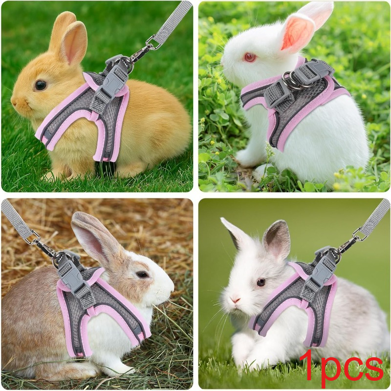 TEMU 1pc Harnais et laisse pour lapin, harnais et laisse réglables pour lapin, gilet respirant pour animaux de compagnie, harnais pour petits chiens,