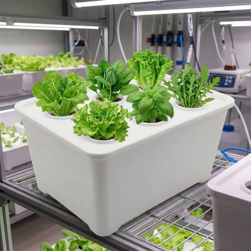 7pcs hydroponic vegetable set including 1 hydroponic box and 6 seedling cups designed for soilless self circulating plant germination featuring a plastic planting box suitable for balcony or terrace use and a compact planting system