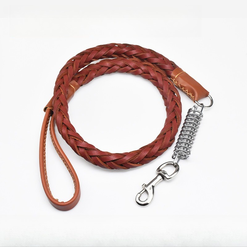 Easter Dog Training Leash for Small to Large Breeds