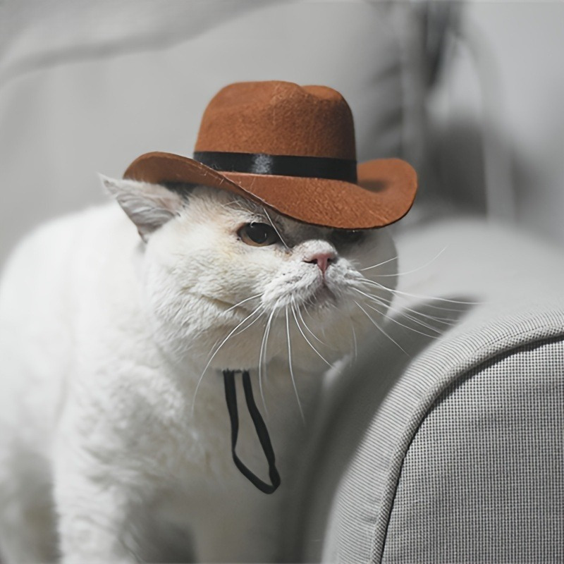 Image of 1 Western Cowboy Hat, Wide-brimmed Brown Pet Hat, Fashion Accessory, Adjustable Strap, , . Suitable For Small Cats And Dogs As A Photo Prop, Costume Party Accessory, Or Daily Wear. Usable In All